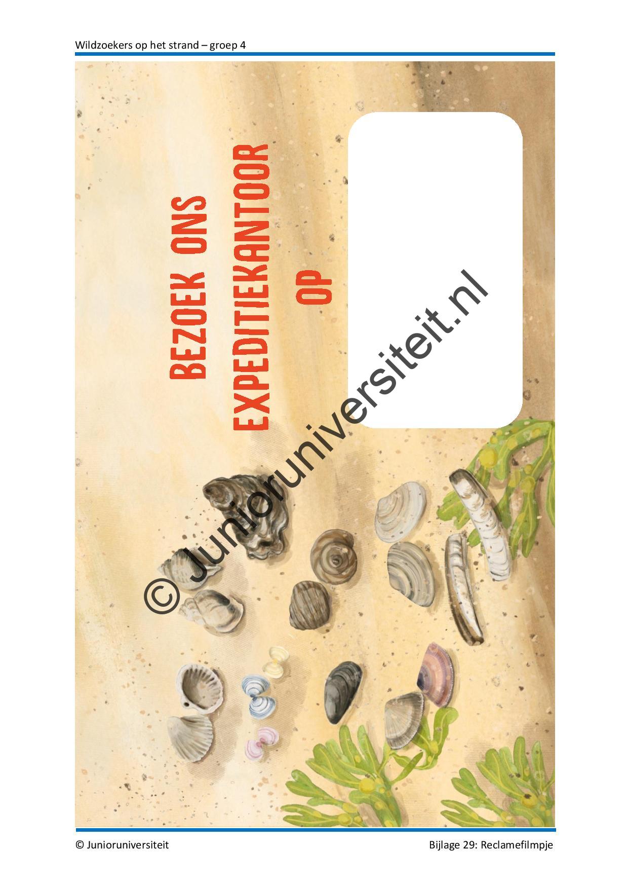 Wildzoekers op het strand - groep 4 - Afbeelding 12