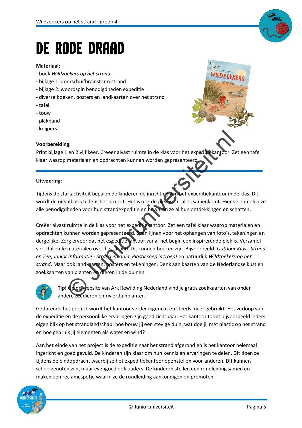 Wildzoekers op het strand - groep 4 - Afbeelding 4