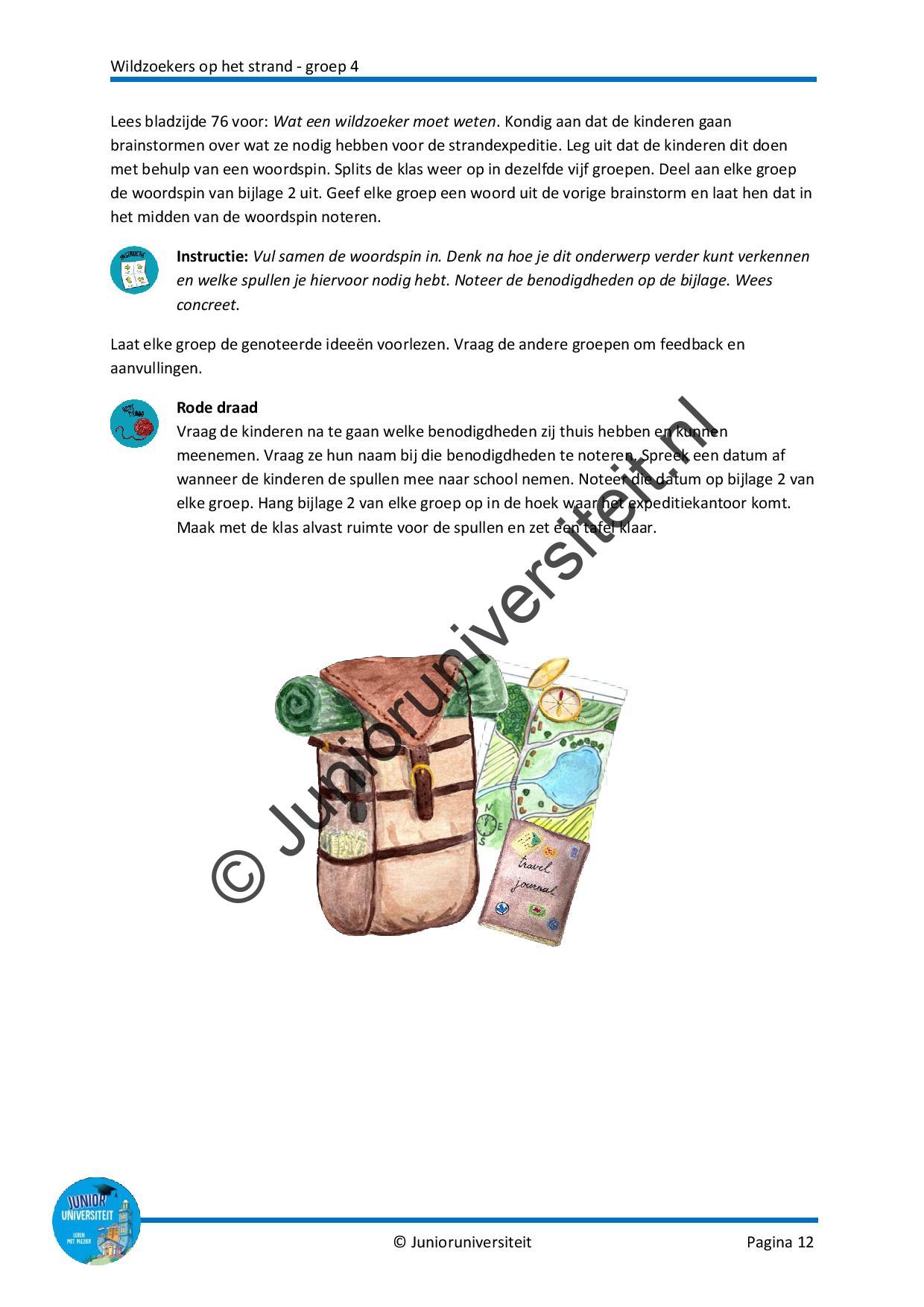 Wildzoekers op het strand - groep 4 - Afbeelding 8