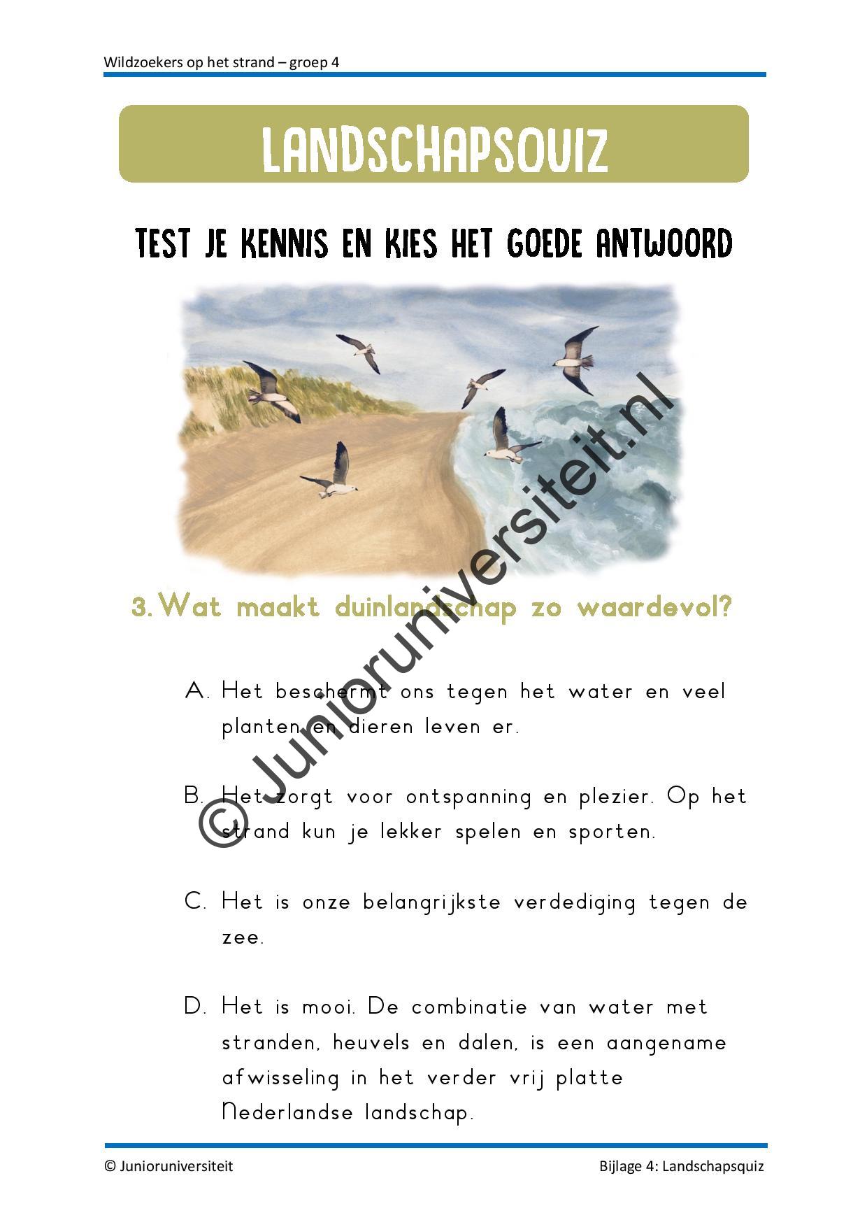 Wildzoekers op het strand - groep 4 - Afbeelding 9