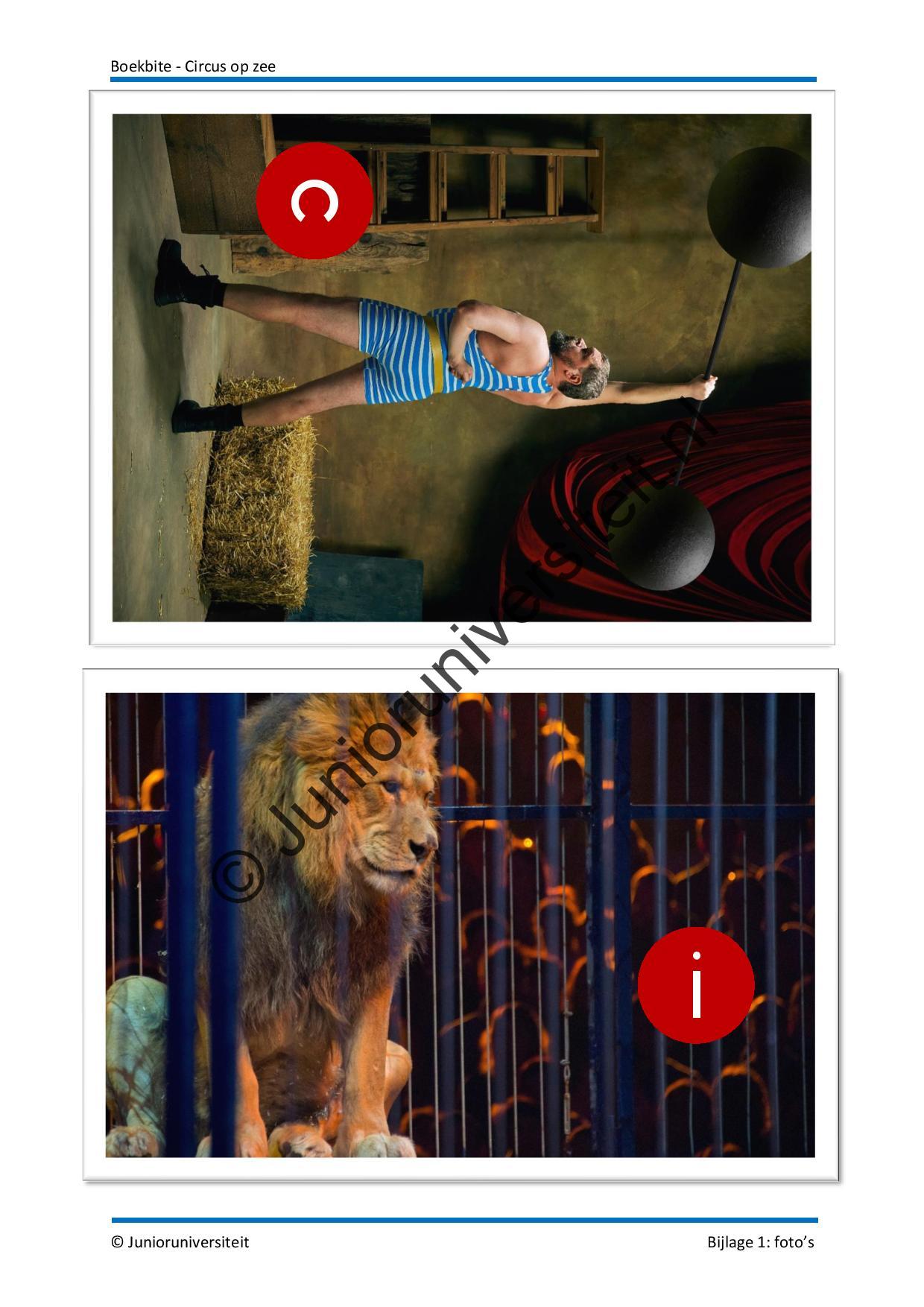 Boekbite - Circus op zee - Afbeelding 8