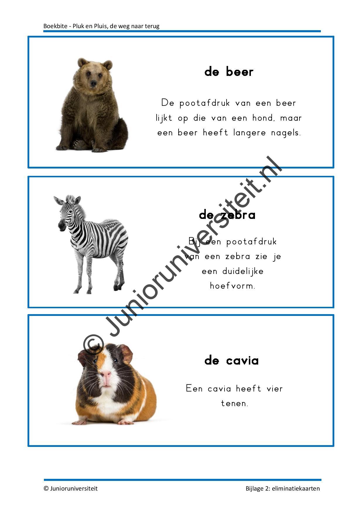 Boekbite - Pluk en Pluis - de weg naar terug - Afbeelding 7