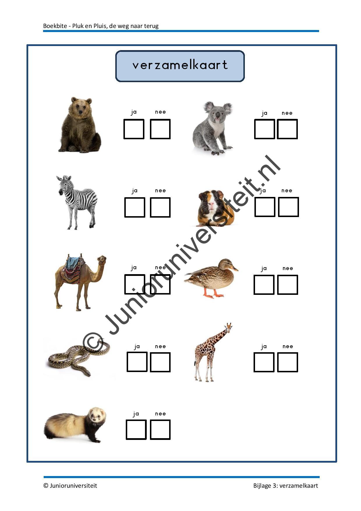 Boekbite - Pluk en Pluis - de weg naar terug - Afbeelding 8