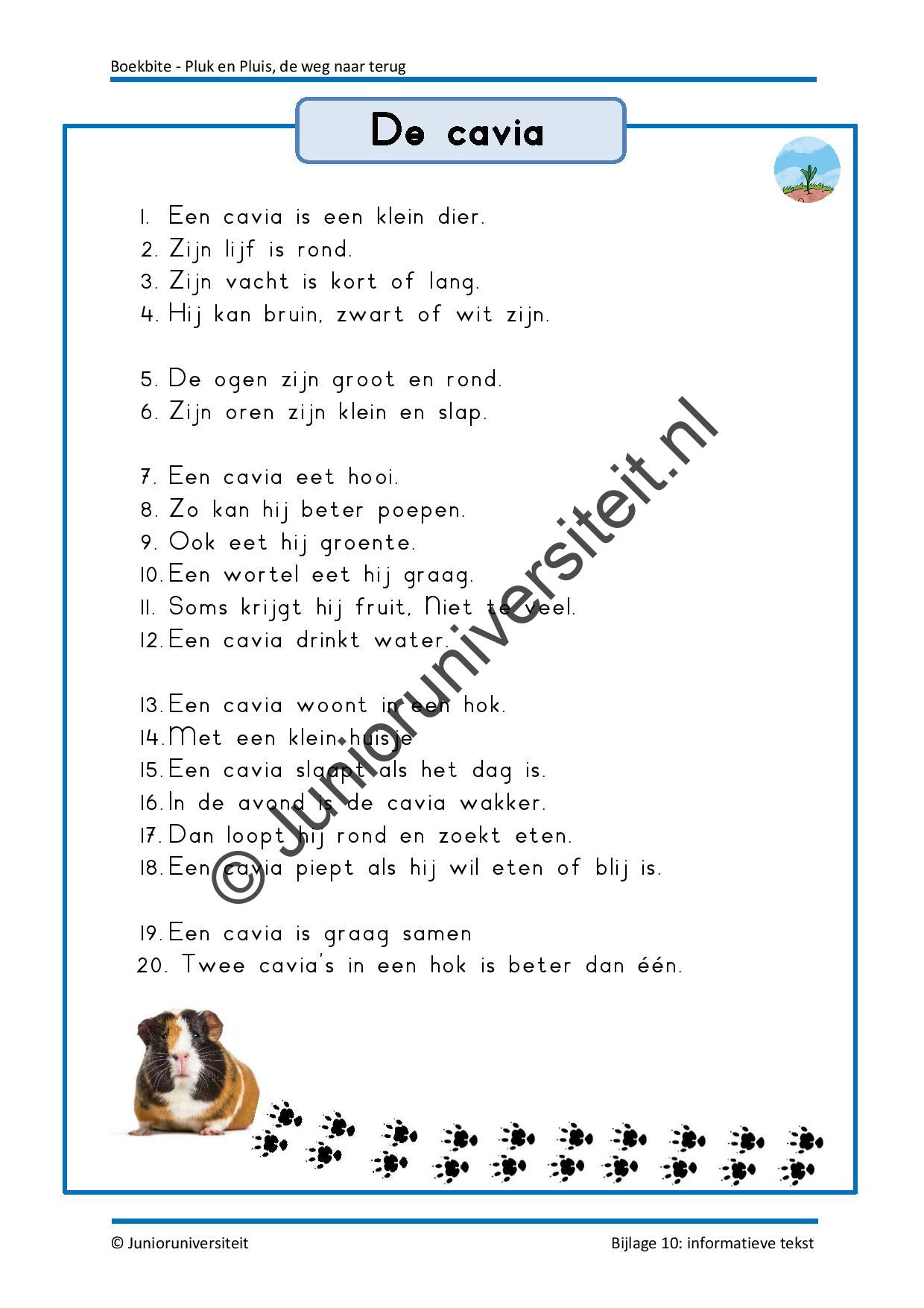 Boekbite - Pluk en Pluis - de weg naar terug - Afbeelding 9