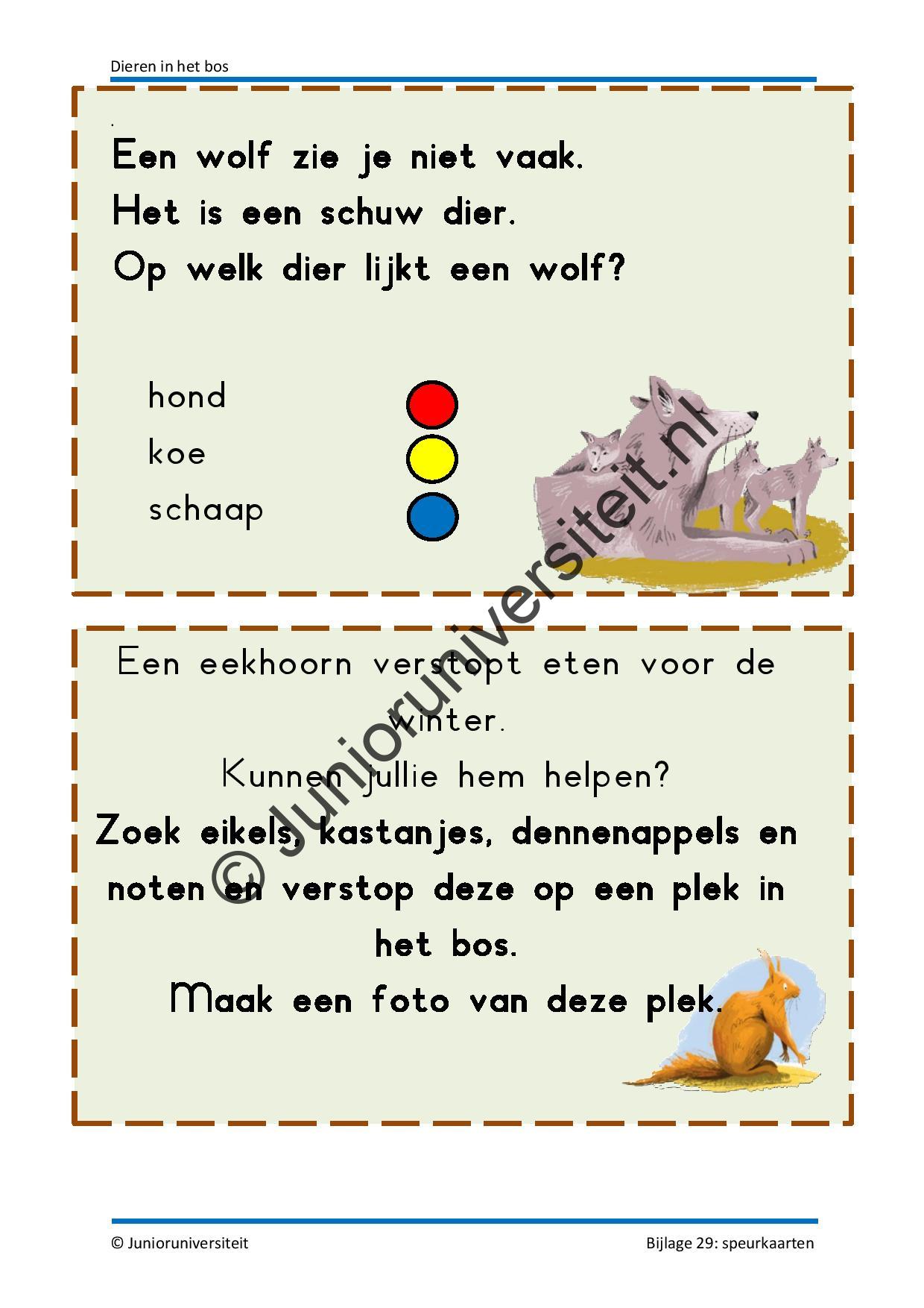 Dieren in het bos - groep 3 - Afbeelding 12