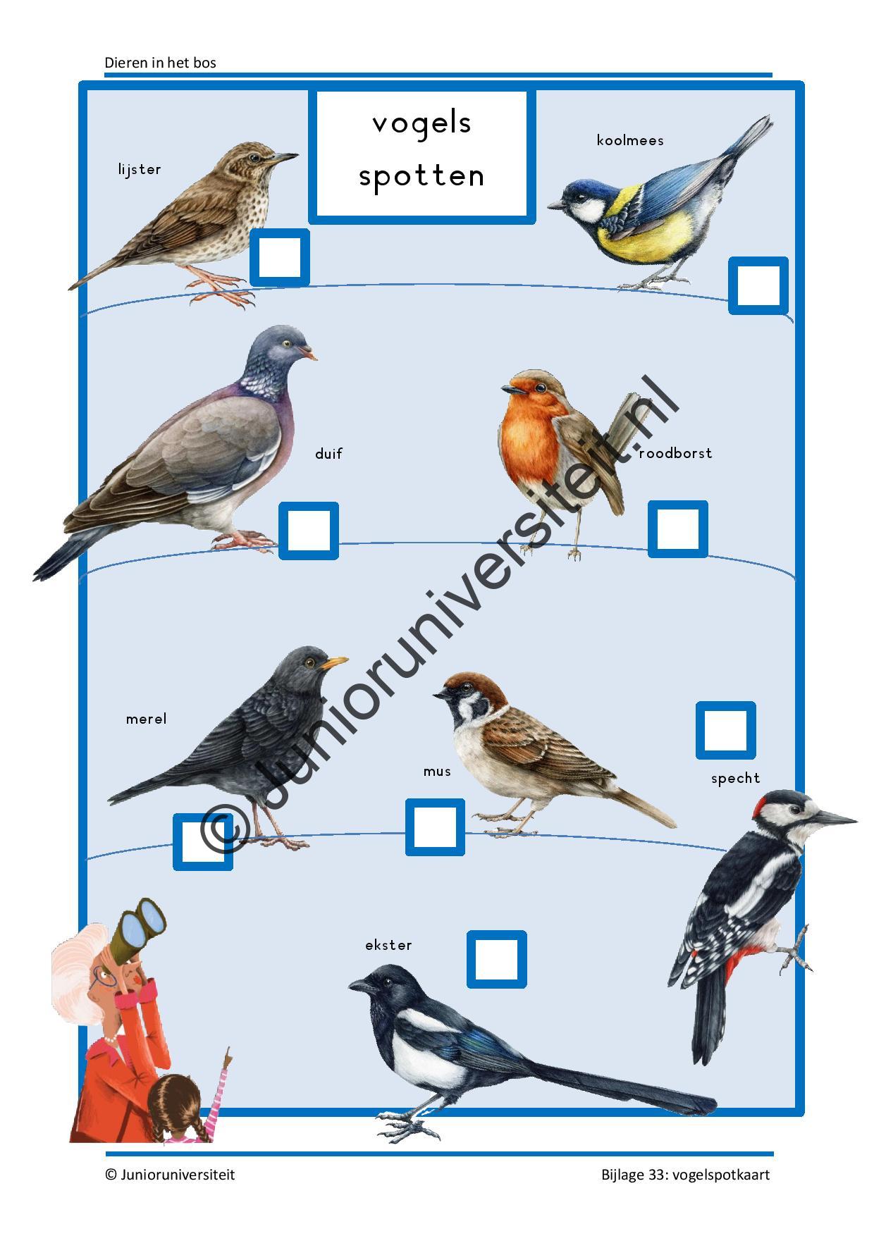 Dieren in het bos - groep 3 - Afbeelding 13
