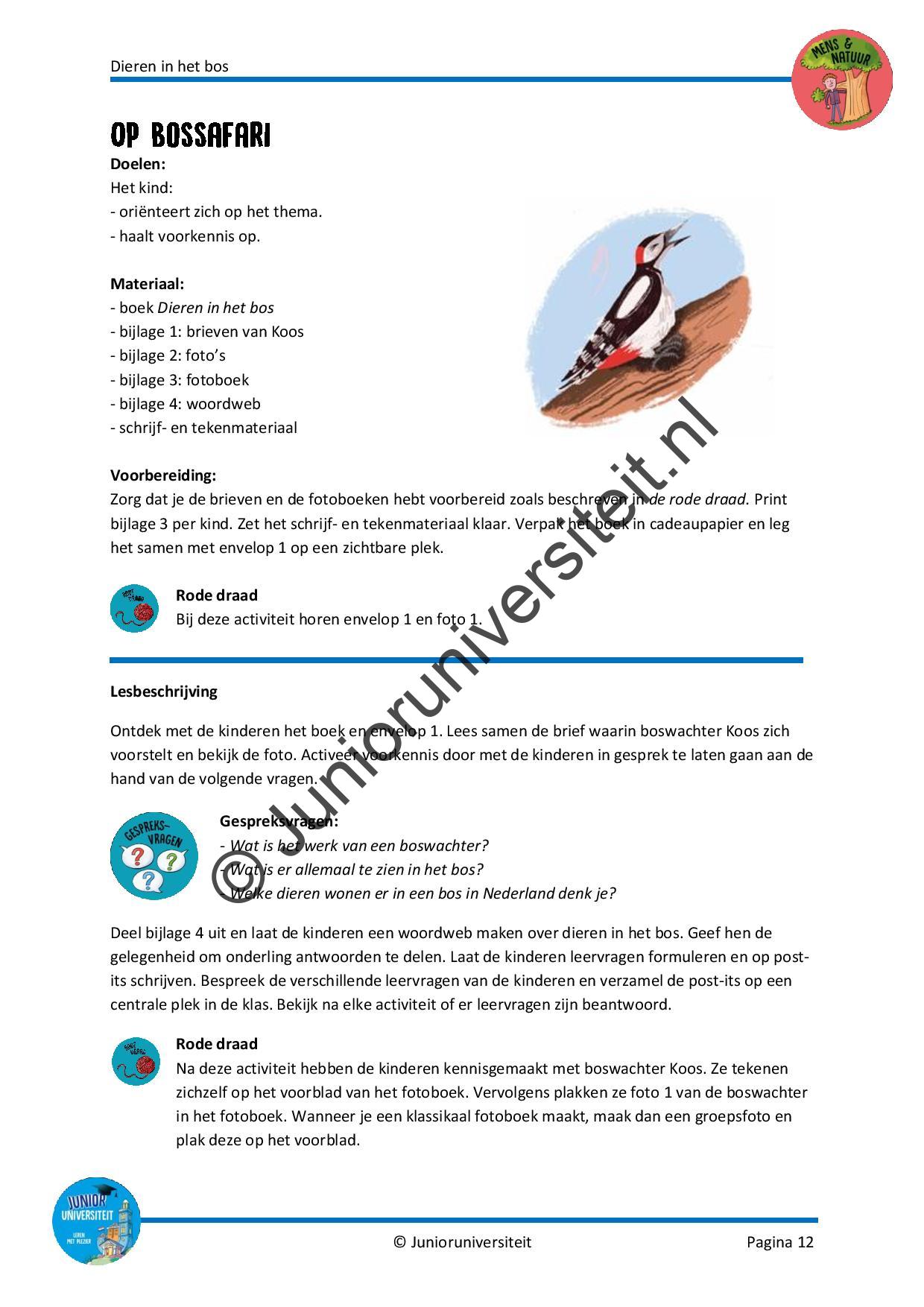 Dieren in het bos - groep 3 - Afbeelding 7