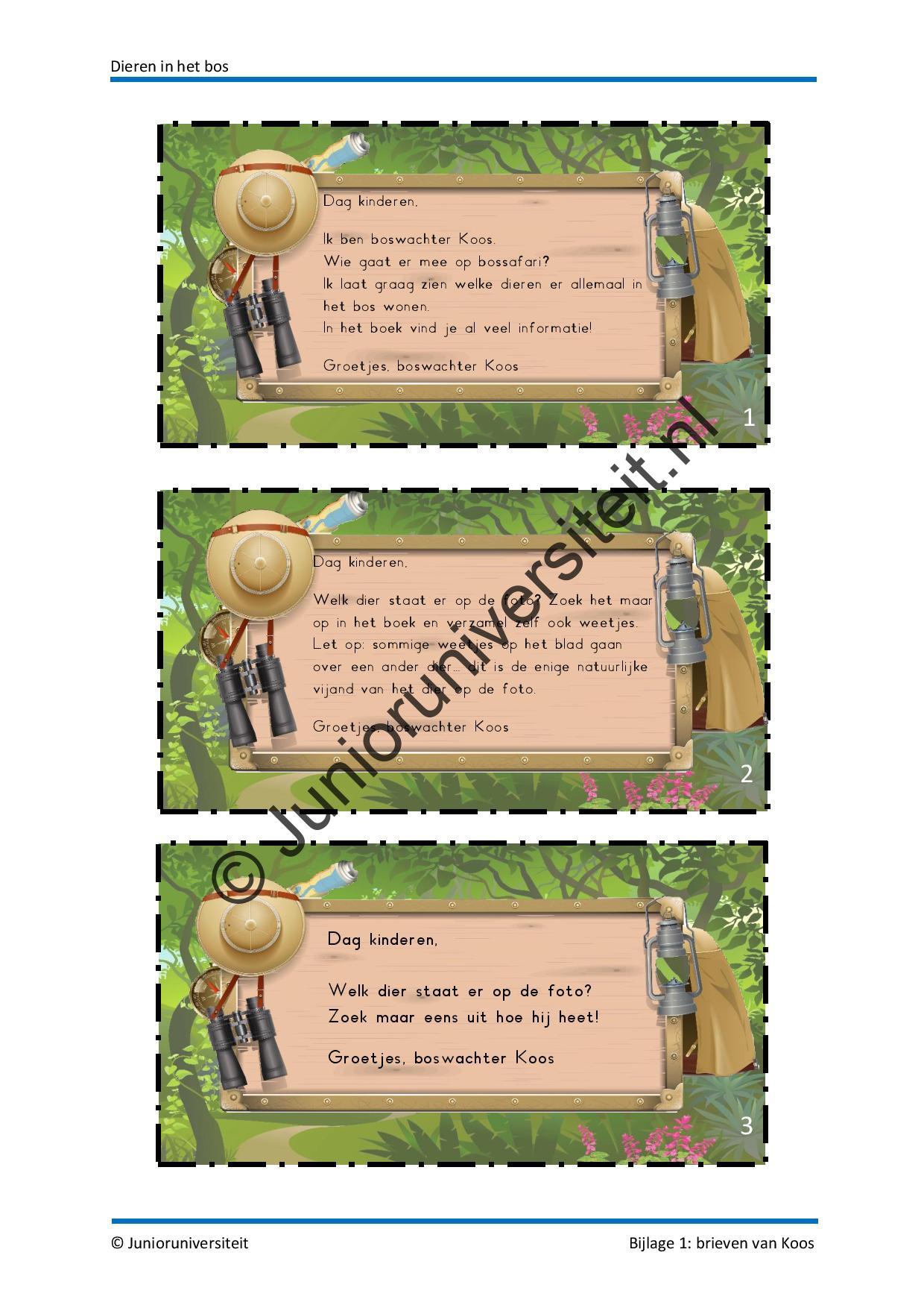 Dieren in het bos - groep 3 - Afbeelding 8