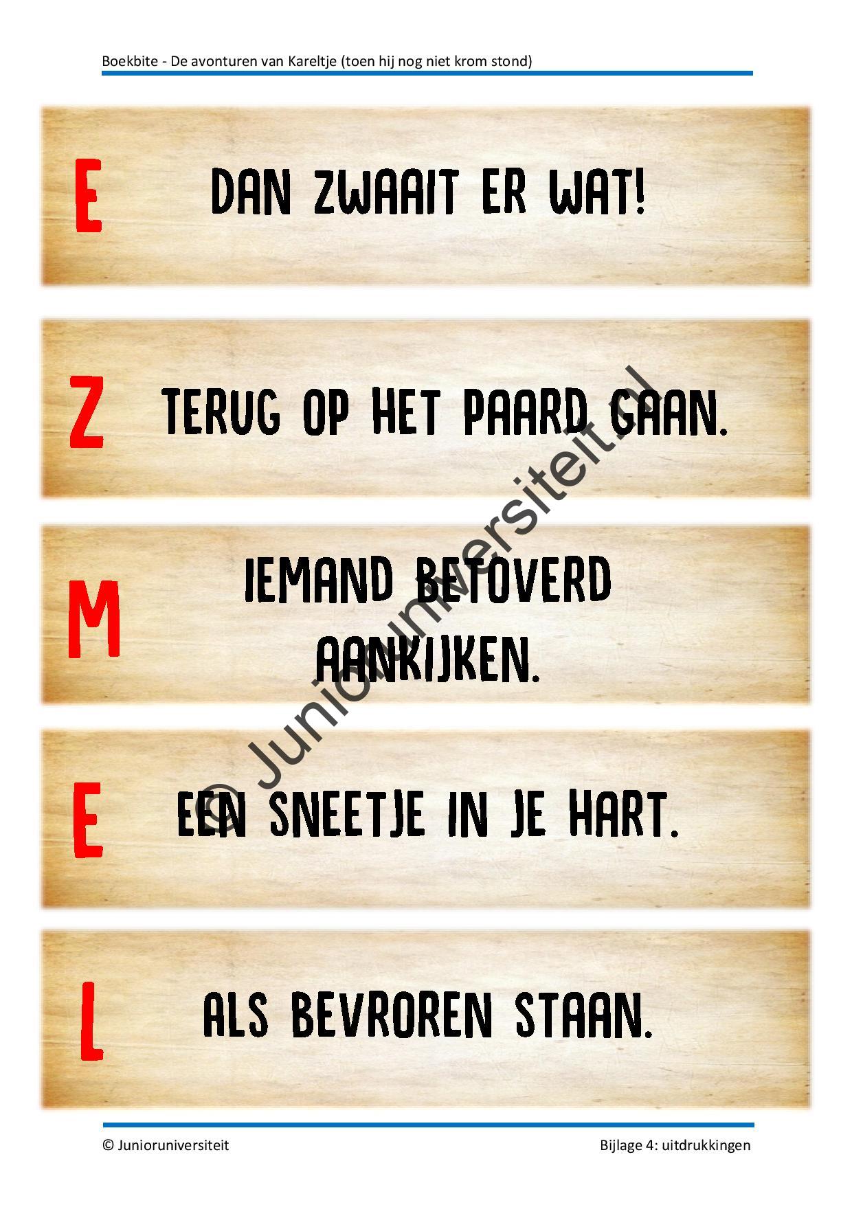 Boekbite: de avonturen van Kareltje - Afbeelding 8